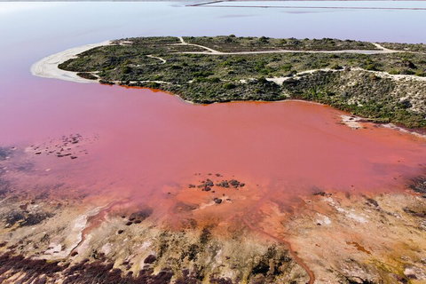 Pink Lake Small-Group Buggy Tour - Accommodation Georgetown 2