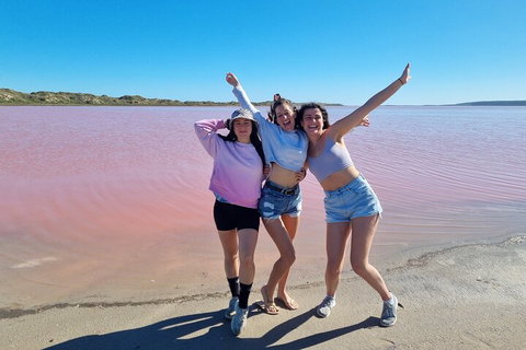 Pink Lake Small-Group Buggy Tour - Accommodation Georgetown 3