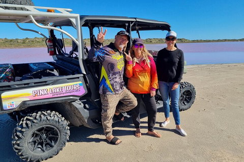 Pink Lake Small-Group Buggy Tour - Accommodation Georgetown 4