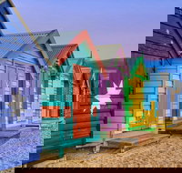 Phillip Island Penguin Brighton Beach Moonlit Sanctuary from Melbourne - Accommodation Georgetown