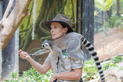 Currumbin Wildlife Sanctuary General Entry Ticket - Accommodation Georgetown 1