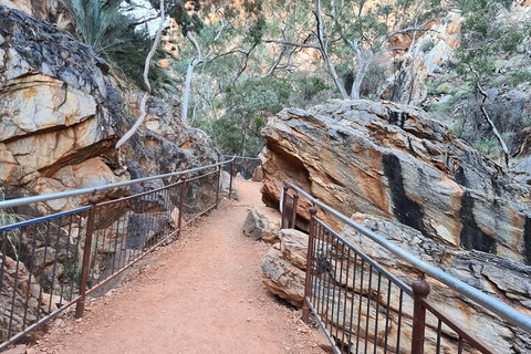 West MacDonnell Ranges Half-Day Private Charter Guided Tour - Accommodation Georgetown 0