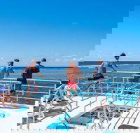 Calypso Outer Great Barrier Reef Cruise from Port Douglas - Accommodation Georgetown