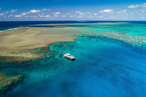 Calypso Outer Great Barrier Reef Cruise From Port Douglas - Accommodation Georgetown 1