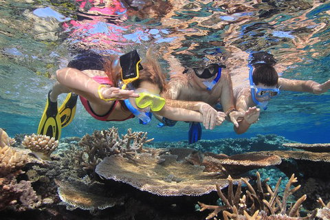 Calypso Outer Great Barrier Reef Cruise From Port Douglas - Accommodation Georgetown 3