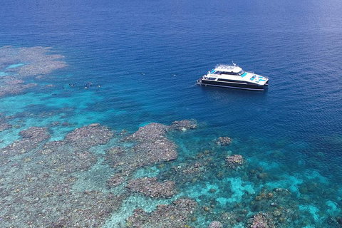 Calypso Outer Great Barrier Reef Cruise From Port Douglas - Accommodation Georgetown 4