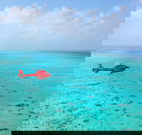 Port Douglas Scenic Flights - Accommodation Georgetown