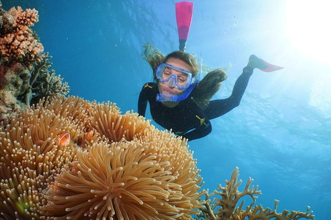 Port Douglas - Cruise And 10 Minute Scenic Flight - Accommodation Georgetown 3