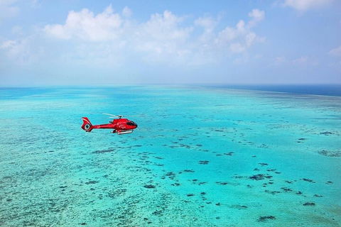 Ultimate Great Barrier Reef And Rainforest 45-minute Helicopter Tour - Accommodation Georgetown 2