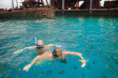 Moreton Island Snorkel And Sandboarding 4WD Day Trip From Brisbane - Accommodation Georgetown 0