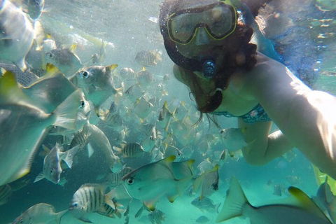 Moreton Island Snorkel And Sandboarding 4WD Day Trip From Brisbane - Accommodation Georgetown 3