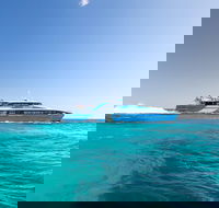 Rottnest Island All-Inclusive Grand Island Tour from Fremantle - Accommodation Georgetown