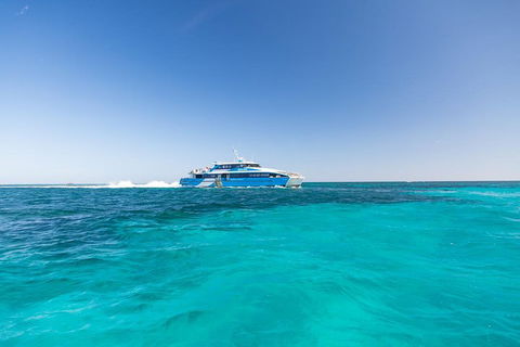 Rottnest Island Bike & Ferry Package From Fremantle - Accommodation Georgetown 0