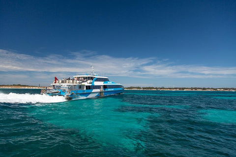 Perth To Rottnest Island Roundtrip Ferry Ticket - Accommodation Georgetown 4