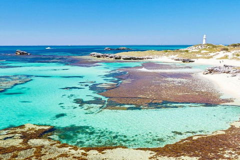 Rottnest Island Bike, Snorkel & Ferry Package From Perth - Accommodation Georgetown 5