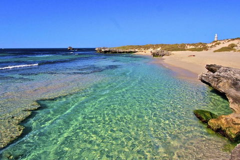 Rottnest Island Bayseeker Day Trip From Perth - Accommodation Georgetown 5