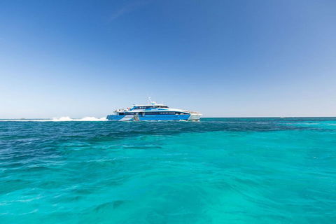 Rottnest Island Settlement Explorer Segway Package From Perth - Accommodation Georgetown 1