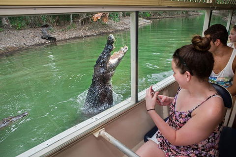 Hartley's Crocodile Adventures Day Trip From Cairns - Accommodation Georgetown 3