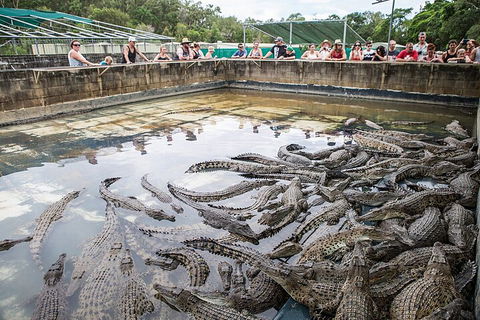 Hartley's Crocodile Adventures Day Trip From Palm Cove - Accommodation Georgetown 0
