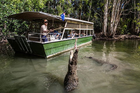 Hartley's Crocodile Adventures Day Trip From Palm Cove - Accommodation Georgetown 2
