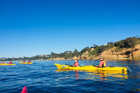 Mornington Peninsula Kayak Coastline Tour Of Dolphin Sanctuary - Accommodation Georgetown 1