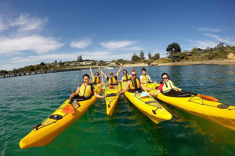 Mornington Peninsula Kayak Coastline Tour Of Dolphin Sanctuary - Accommodation Georgetown 2