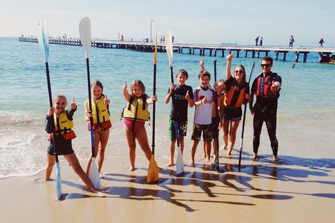 Mornington Peninsula Kayak Coastline Tour Of Dolphin Sanctuary - Accommodation Georgetown 3