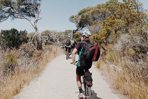 Self-Guided Point Nepean National Park Bike Hire - Accommodation Georgetown 0
