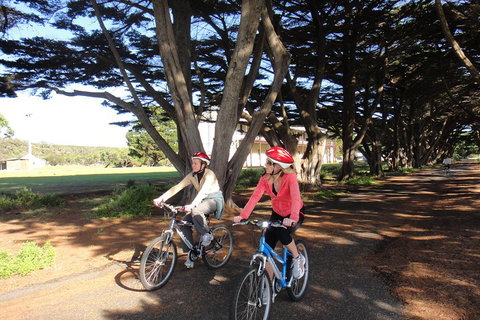 Self-Guided Point Nepean National Park Bike Hire - Accommodation Georgetown 2