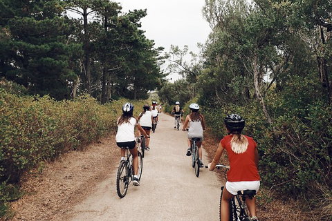Self-Guided Point Nepean National Park Bike Hire - Accommodation Georgetown 3