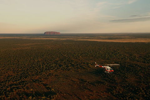 Helicopter Scenic: Lizard Safari - Accommodation Georgetown 4