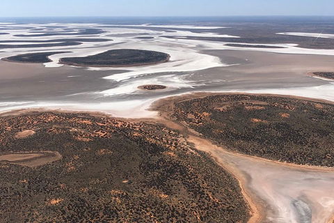 Helicopter Scenic: Lizard Safari - Accommodation Georgetown 5