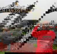 Full-Day Sports and Beer Tour of Melbourne with Lunch - Accommodation Georgetown