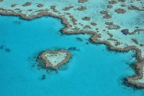 Reef And Island Scenic Flight From Airlie Beach - Accommodation Georgetown 5