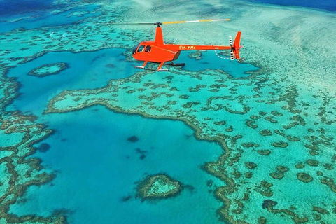 Whitehaven Heli Tour - Accommodation Georgetown 3