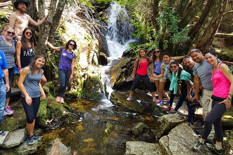 7-Day Super Value Tour Of Tasmania: Explore Tasmania's West And East Coasts - Accommodation Georgetown 2
