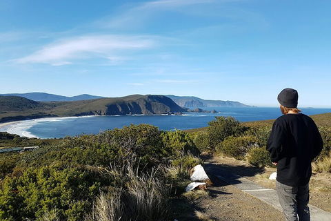 4-Day Fabulous Tasmania Tour: Wineglass Bay, Port Arthur, Devils & Bruny Island - Accommodation Georgetown 0