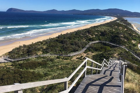 4-Day Fabulous Tasmania Tour: Wineglass Bay, Port Arthur, Devils & Bruny Island - Accommodation Georgetown 5