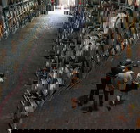 Wirra Wirra Vineyard McLaren Vale Winery Tour and Shiraz Masterclass - Accommodation Georgetown