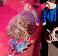 Alice Springs Desert Park General Entry Ticket - Accommodation Georgetown