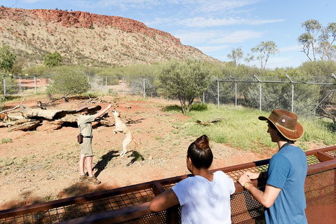 Alice Springs Desert Park General Entry Ticket - Accommodation Georgetown 4