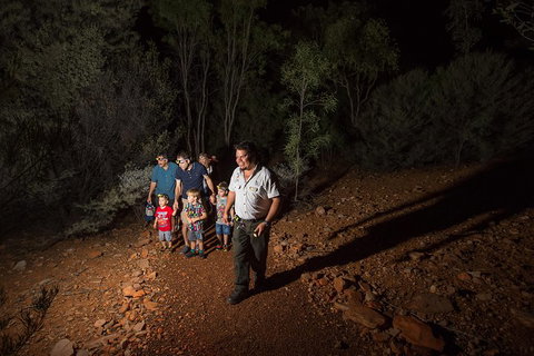 Alice Springs Desert Park Nocturnal Tour - Accommodation Georgetown 0