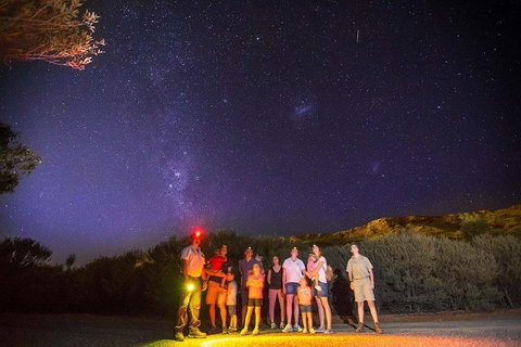 Alice Springs Desert Park Nocturnal Tour - Accommodation Georgetown 2