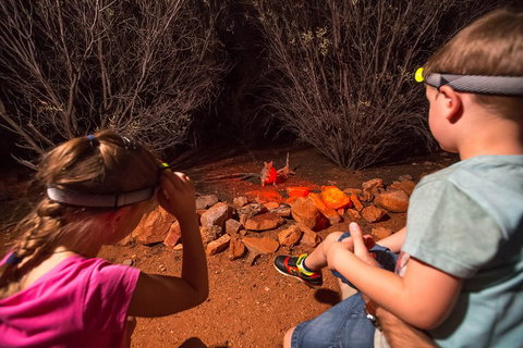 Alice Springs Desert Park Nocturnal Tour - Accommodation Georgetown 4