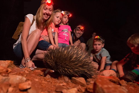 Alice Springs Desert Park Nocturnal Tour - Accommodation Georgetown 5