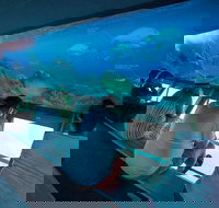 Great Barrier Reef Day Cruise to Reefworld - Accommodation Georgetown