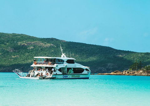 Whitehaven Beach Half-Day Cruises - Accommodation Georgetown 5