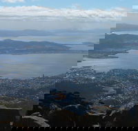 Mt Wellington Tour and MONA Admission - Accommodation Georgetown