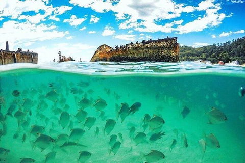 Adventure Moreton Island Day Pass - Accommodation Georgetown 4