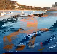 Adventure Moreton Island Wrecks Adventure Package - Accommodation Georgetown